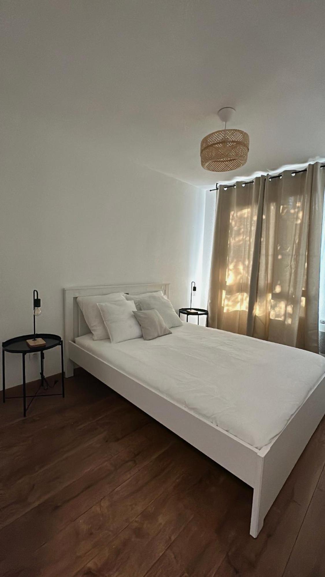 Residence Villa Rose T3 Parking Prive Тулуза Екстер'єр фото